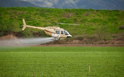 Florida Power and Light Killed Fifty Chickens and Then Said the Chemical Is Safe for Animals