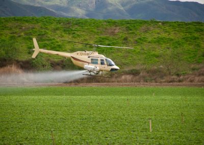 Helicopter,Flying,Low,Over,Field,Spraying,Crops