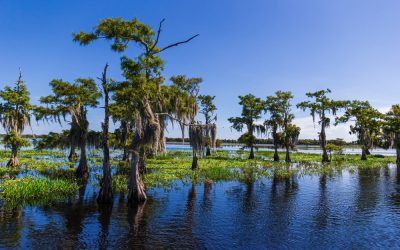 The Barleys Fought to Save the Everglades and Ron DeSantis Just Honored Them for It