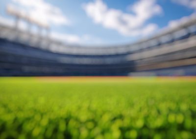 Blur,Background,Of,Lush,Green,Grass,Field,With,Clear,Blue