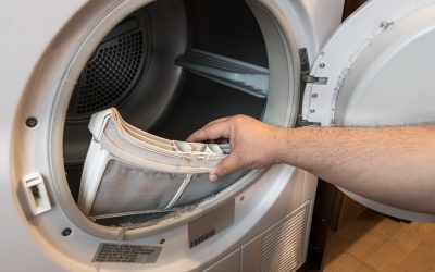 A Florida Man Groomed a 14-Year-Old Online for Two Years and Then Hid Her in a Dryer When Deputies Showed Up