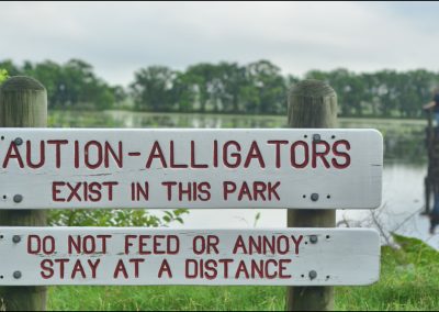 Disney Knew Alligators Were in That Lagoon Before a Two Year Old Died There Alligator,Caution,Sign,Near,The,Pond