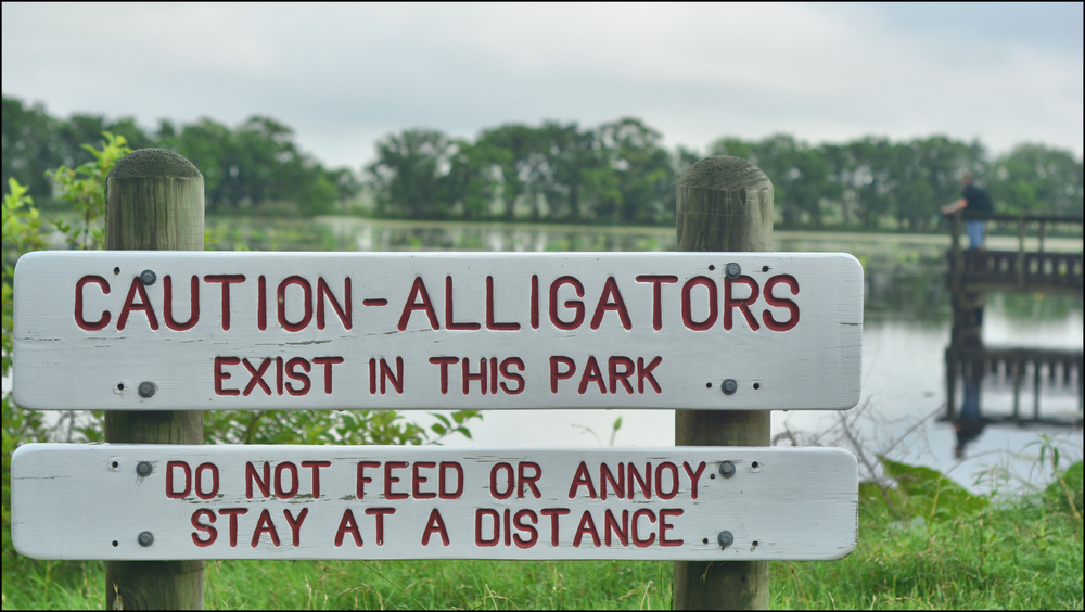 Disney Knew Alligators Were in That Lagoon Before a Two Year Old Died There