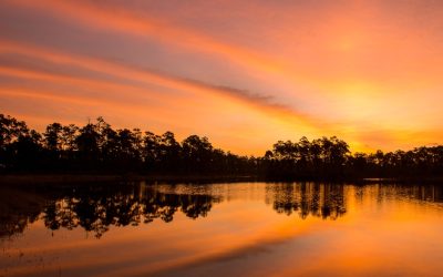 Florida Just Funded the Everglades Project that Joe Biden Tried to Bury for Five Years