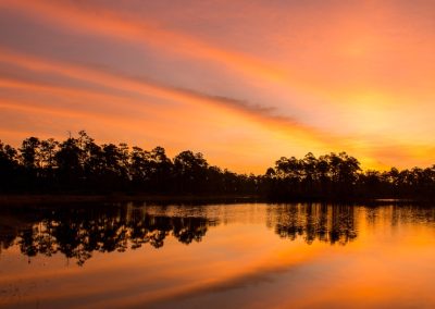 Florida Just Funded the Everglades Project that Joe Biden Tried to Bury for Five Years A,Silhouette,Of,Trees,Surrounding,The,Lake,On,The,Sunset