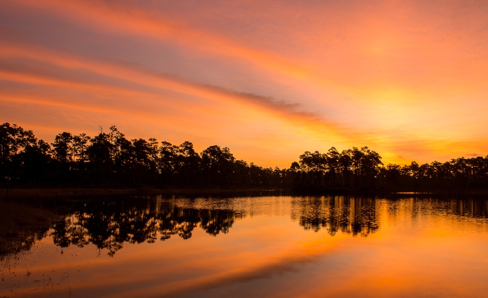 Florida Just Funded the Everglades Project that Joe Biden Tried to Bury for Five Years