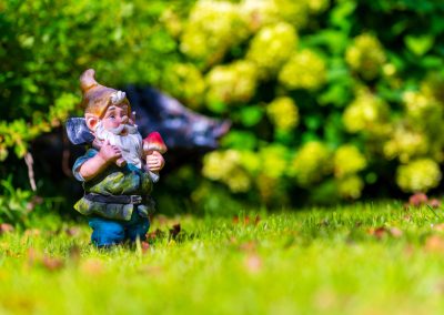 Toy,Garden,Gnome,On,A,Sunny,Lawn,Against,A,Blurred