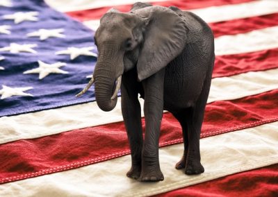 Byron Donalds Shrugged Off DeSantis With Six Words That Said Everything Elephant,Standing,On,A,United,States,Of,America,Flag.,Republican