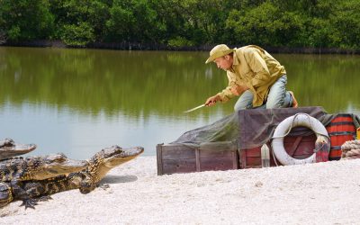 A Florida Man Got Dragged Into a Canal by an Alligator and Jabbed Its Eyes Until It Let Go
