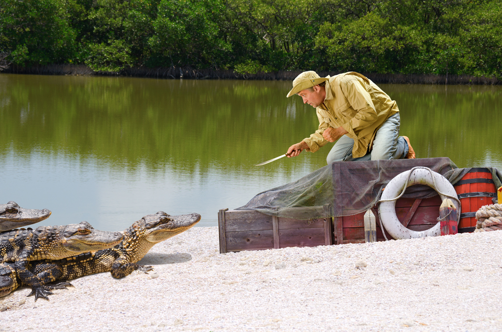 A Florida Man Got Dragged Into a Canal by an Alligator and Jabbed Its Eyes Until It Let Go