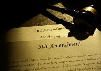 Anthony Fauci Pleaded the Fifth Today and Ron DeSantis Called It Years Ago Fifth,,First,And,Second,Amendments,Of,The,United,States,Constitution