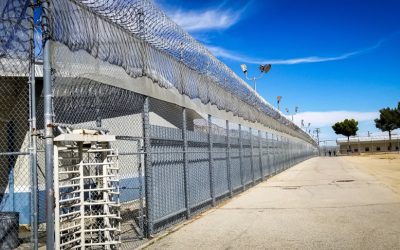 Ron DeSantis Just Handed a Federal Judge Photos That Ended the Alligator Alcatraz Lawsuit