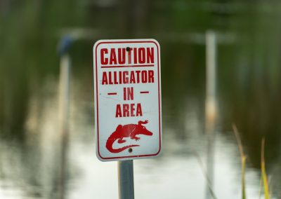 Alligator,Danger,Warning,Signpost,In,Florida,Waterfront,Park,About,Caution