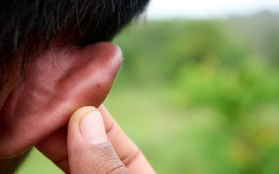 A Florida Mom Bit Off Her Husband’s Ear on I-95 and Then Called 911 to Say He Hit Her
