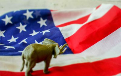 You Won’t Believe How Bad Florida Republicans Just Buried Democrats in Primary Turnout