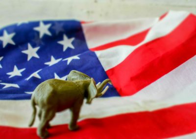 You Won’t Believe How Bad Florida Republicans Just Buried Democrats in Primary Turnout 2020,Us,Presidential,Election,-,Republican,Elephant