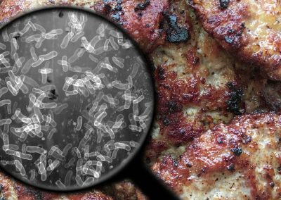 Searching,For,Bacteria,In,Meat