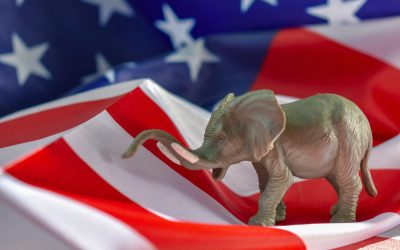 Florida Republicans Just Handed Homeowners the Worst Version of Tax Relief Possible