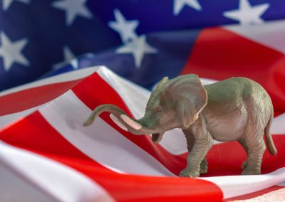 Republican,Elephant,With,American,Flag,On,Wooden
