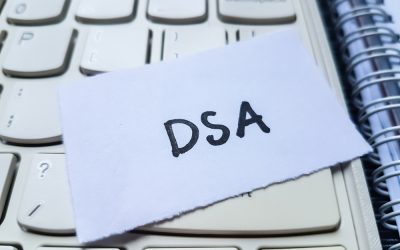 Ron DeSantis Just Told Disgruntled Republicans Something They Needed to Hear About the DSA