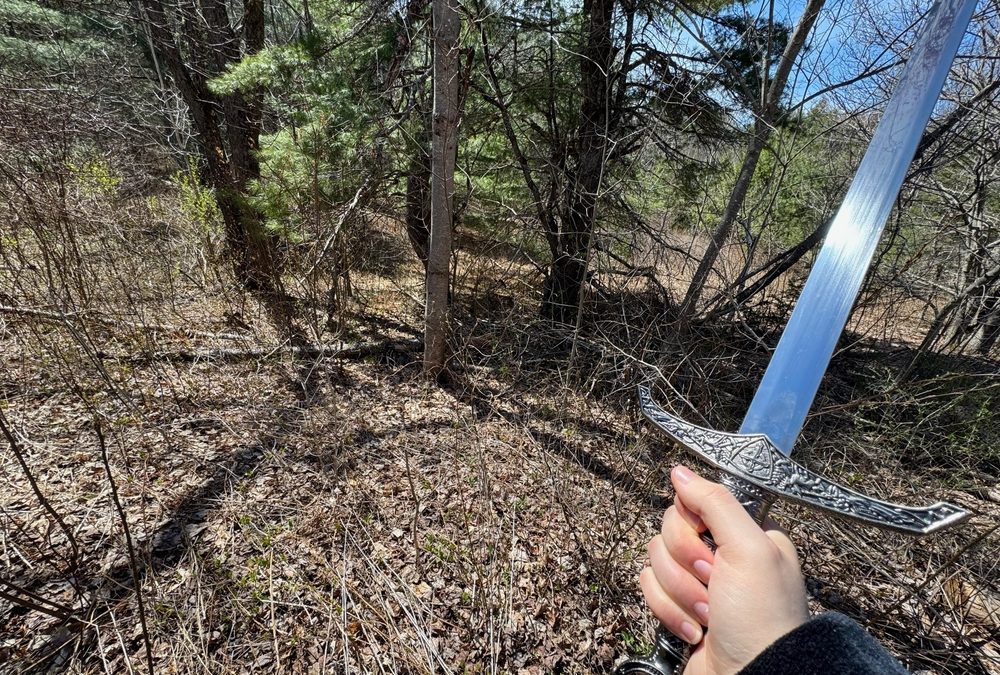 A Deputy Told this Sword Wielding Florida Man to Drop It and Got the Perfect Answer