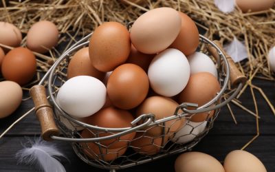 Florida Just Caught the Egg Companies That Robbed You at the Grocery Store and Made Them Pay