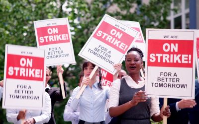 Erika Donalds Is Traveling Florida to Tell Parents Something the Teachers Unions Prayed They Would Never Find Out