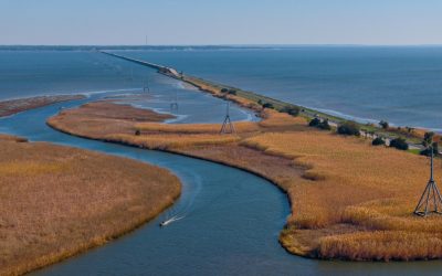 Apalachicola Residents Bathed in Rivers and Ron DeSantis Just Made Sure It Never Happens Again