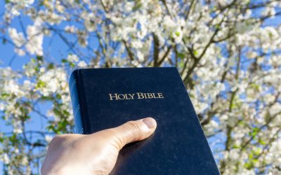 Bill Clinton Just Quoted the Bible in Florida and Every Christian in America Knows Why That Is Funny