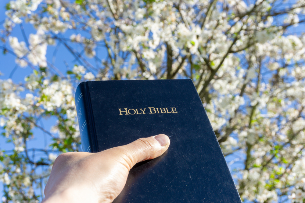 Bill Clinton Just Quoted the Bible in Florida and Every Christian in America Knows Why That Is Funny
