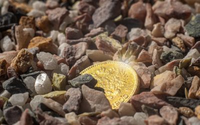 Ron DeSantis Gave Donald Trump a Gold Coin That Said What Every American Was Thinking