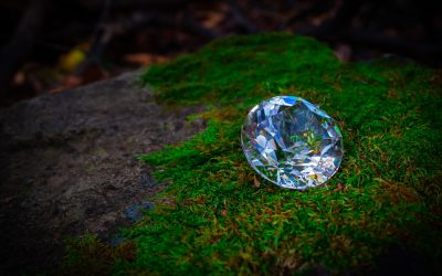 A Florida Jury Just Convicted the Man Who Swallowed $760,000 in Tiffany Diamonds