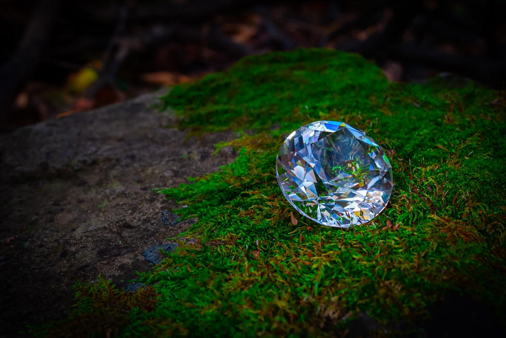 Selective,Focus.,Diamond,In,The,Woods.,Treasure.